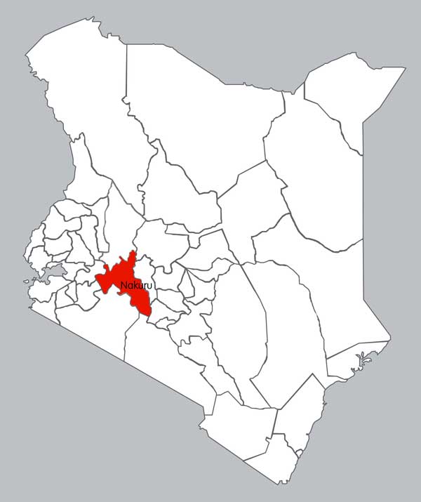 Elimu Counties In Kenya 1876