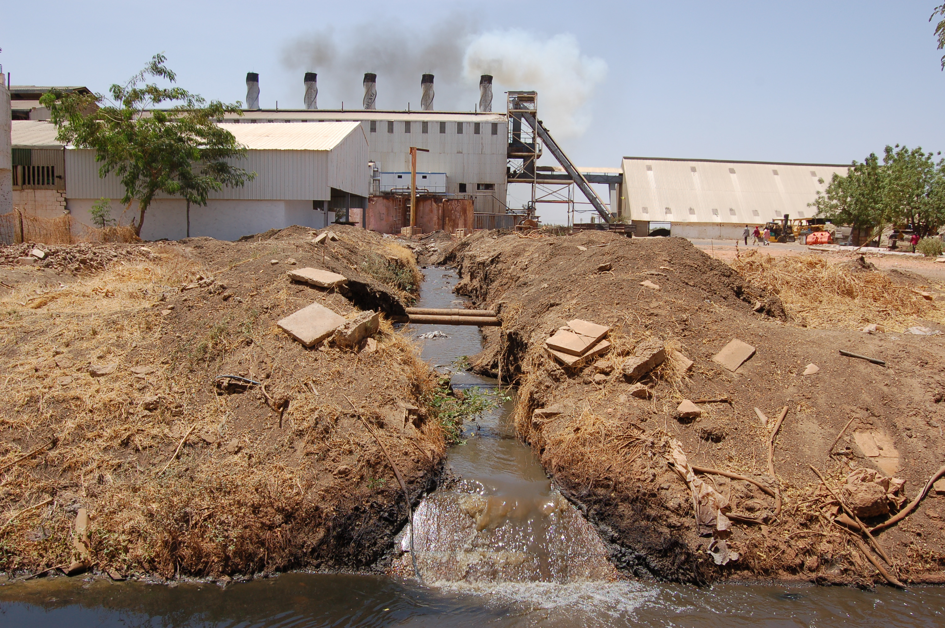 ELimu Water