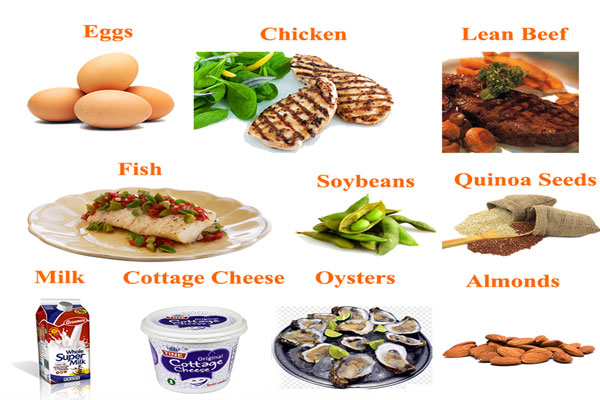 ELimu Food And Nutrition