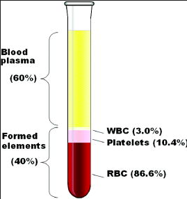 what is the percentage of plasma in human blood
