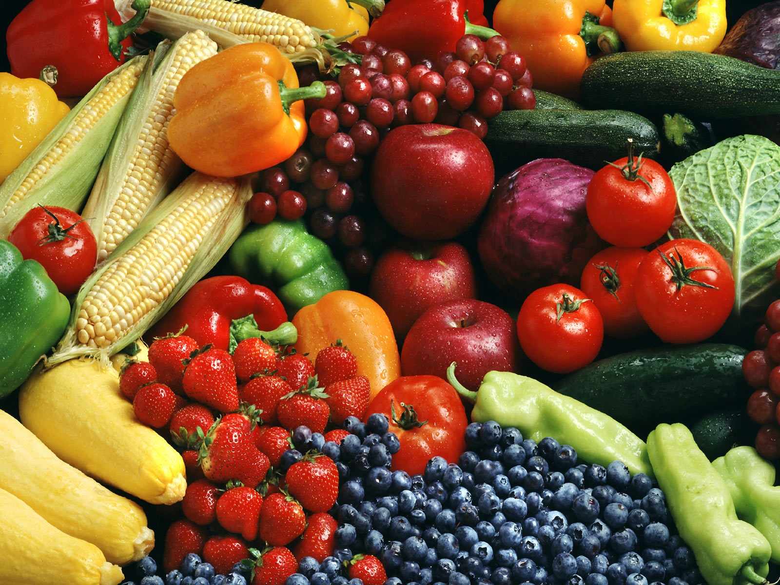 ELimu Food And Nutrition