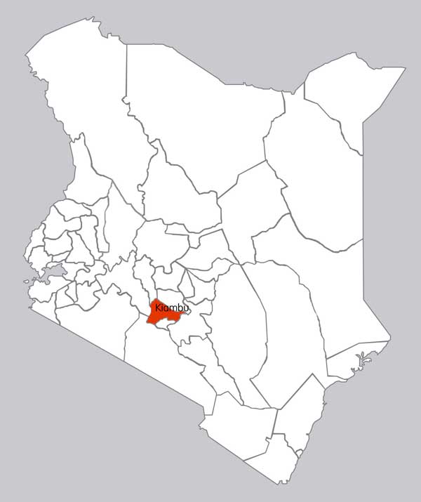 Elimu Counties In Kenya