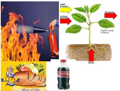 nitrogen uses in everyday life