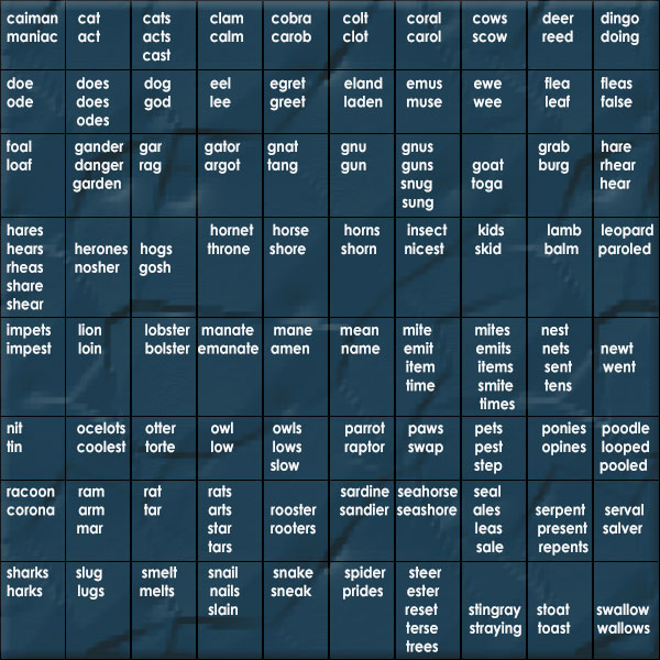 companion anagram