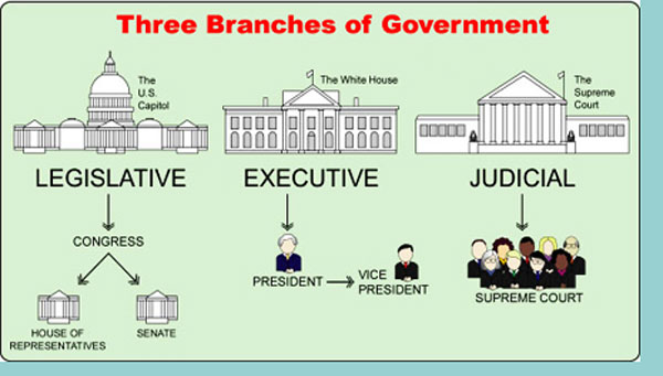 what are executive arm of government