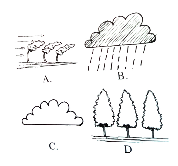 ELimu Weather ELimu Weather