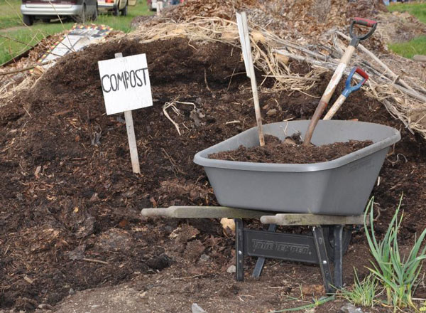 ELimu Soil