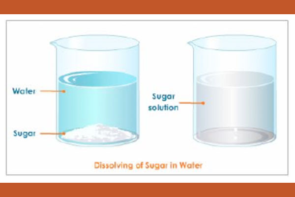 Diagram Of Salt Dissolved In Water