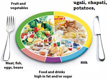 eLimu | Food and Nutrition