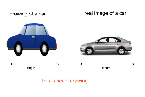 Artist Shows How to Draw Objects Using Shapes and Measurements