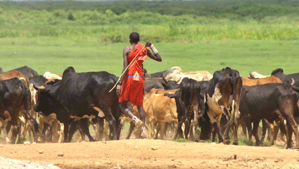 Image result for pastoralist communities in kenya