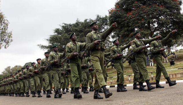 eLimu | National security organs